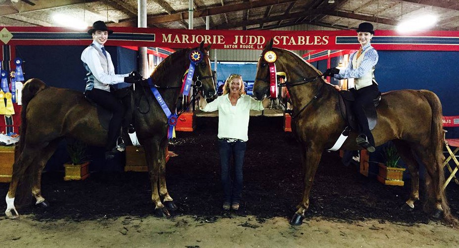 Stables Louisiana American Saddlebred Horse Association